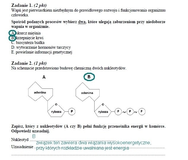 MATURA 2014 - BIOLOGIA - ARKUSZ CKE, ZADANIA, ODPOWIEDZI