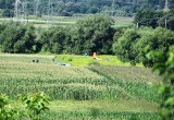 Tarnowiec. Awaryjne lądowanie awionetki w polach pod Tarnowem. Samolot zatrzymał się w chaszczach. AKTUALIZACJA