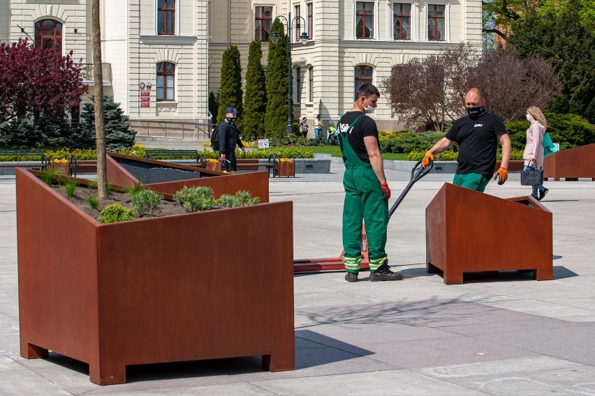 Estetyczne zmiany w centrum Bydgoszczy. Na Starym Rynku pojawiły się donice z roślinami [zdjęcia]