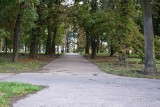 Kolejny przetarg na odnowę parku w Sandomierzu już ogłoszony 