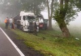 Wypadek na drodze 21 Miastko - Słupsk. Tir uderzył w drzewo