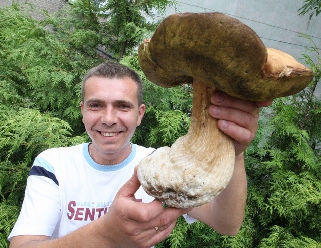 Prawdziwek znaleziony przez Tomasza Lubasińskiego w lesie pod Gogolewem ważył ponad kilogram. Gdzie można znaleźć takie okazy? Czytaj w Głosie Pomorza!