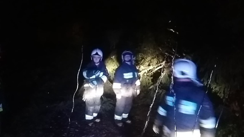 Podhale. Wzmaga się silny wiatr. Pierwsze interwencje strażackie [ZDJĘCIA]