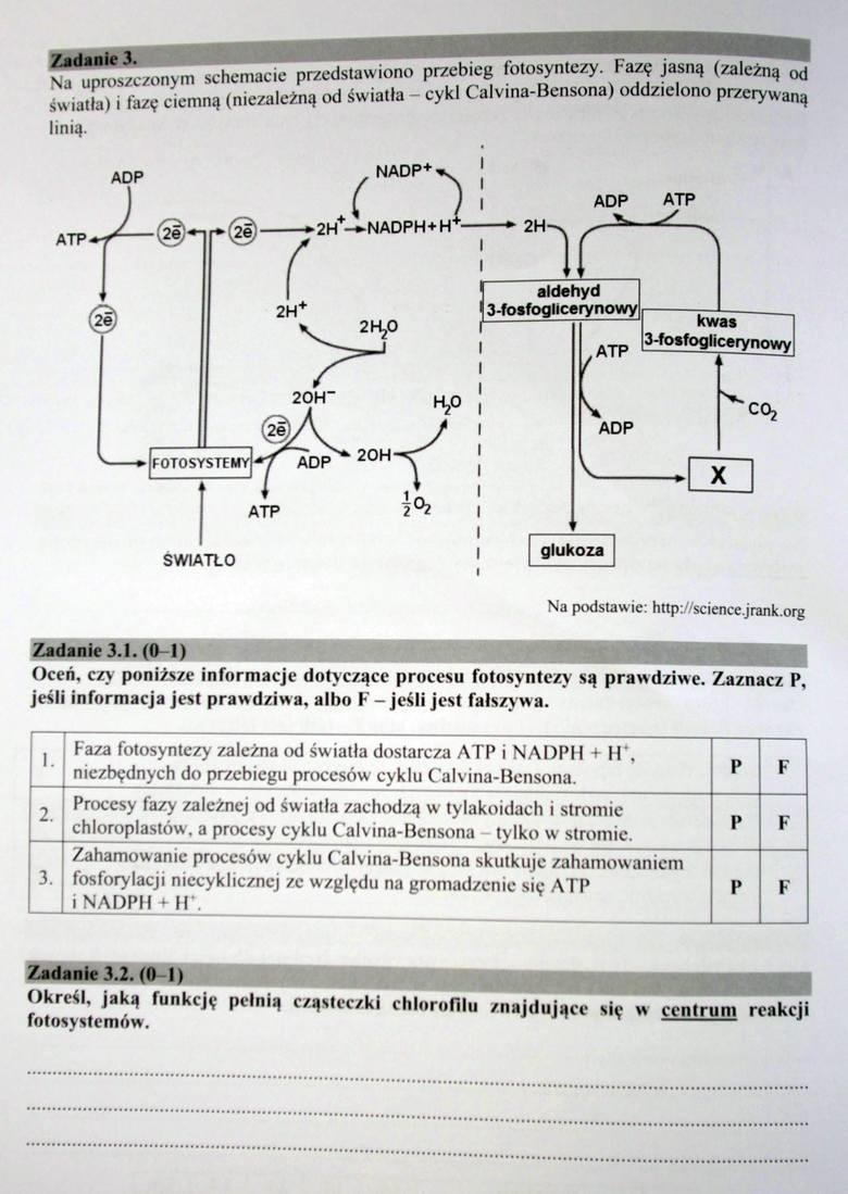 ARKUSZE MATURY Z BIOLOGII NA POZIOMIE ROZSZERZONYM 2017