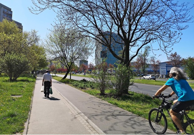 Rowerzyści są zagrożeniem tak samo jak kierowcy samochodów - twierdzi Koalicja.