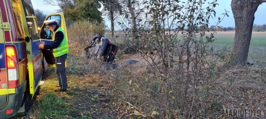 W trakcie badania alkomatem okazało się, że kierowca był...