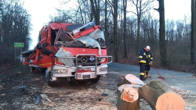 Dwaj strażacy z Zalesia Śląskiego zostali ranni, po tym jak na ich wóz spadło drzewo.