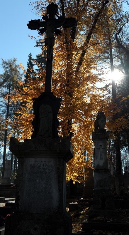 Cmentarz Lyczakowski we Lwowie...