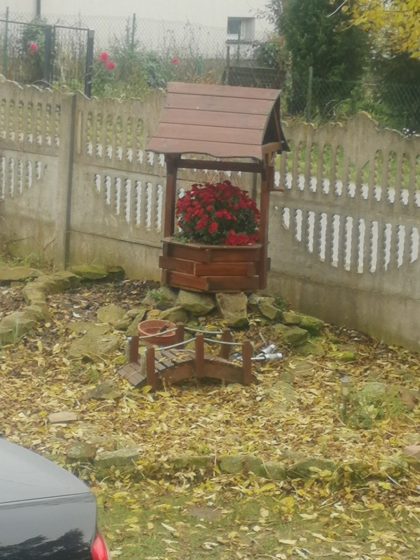 Czytelnicy Echa Dnia podzielili się swoimi zdjęciami...