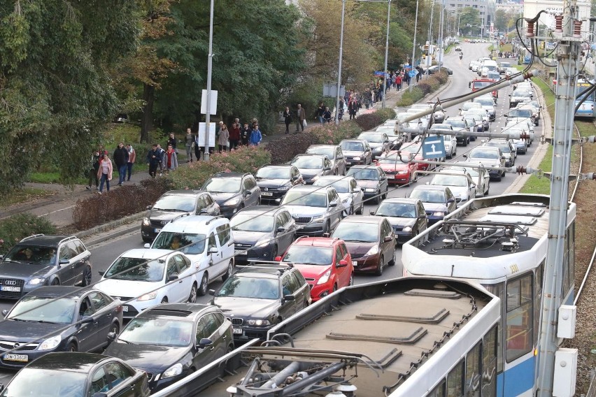 Każdy wrocławianin wie, że zarówno rano, jak i po południu,...