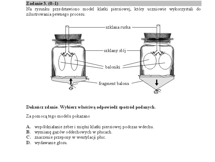 EGZAMIN GIMNAZJALNY 2015 - PRZYRODA I MATEMATYKA - ARKUSZ...