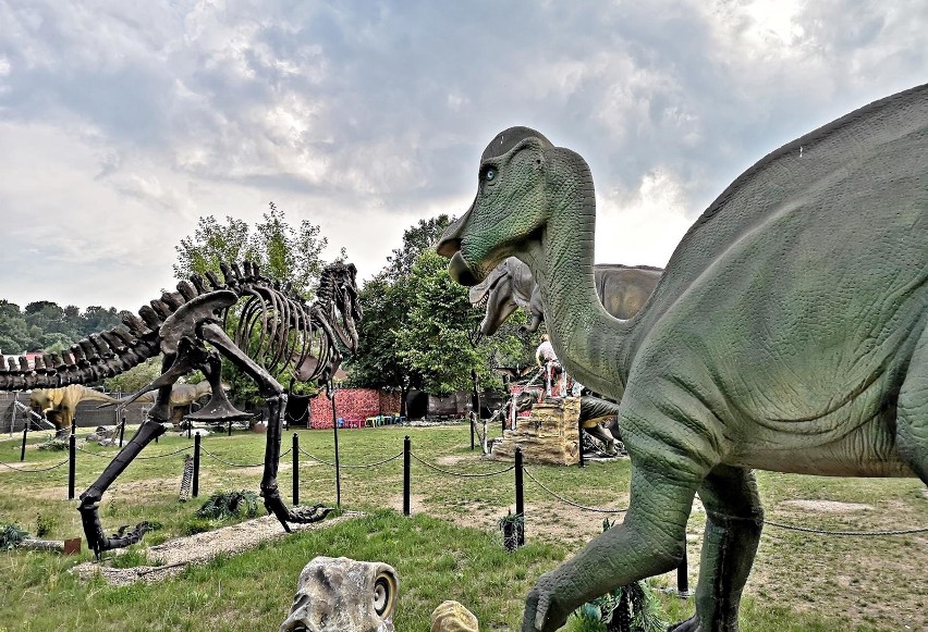 Kraków. Gigantyczne, poruszające się dinozaury przed Halą Cracovii [ZDJĘCIA]