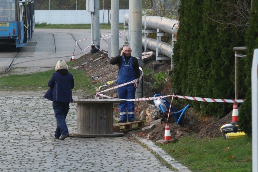 Niebezpieczne  znalezisko odkryto w wykopie podczas prac...