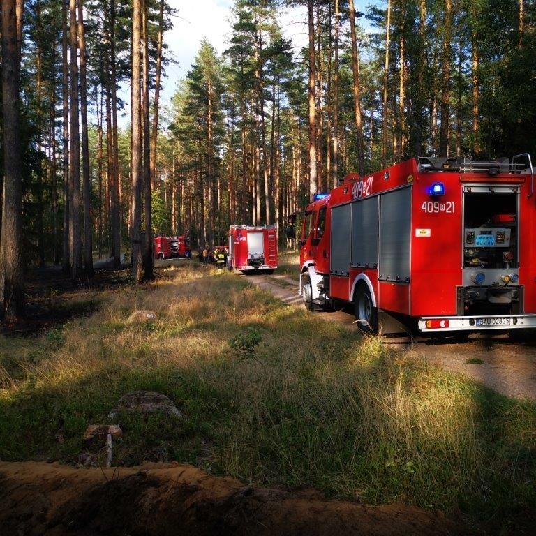 Nadleśnictwo Szczebra. Susza nie odpuszcza. Kolejny pożar lasu w regionie (zdjęcia)