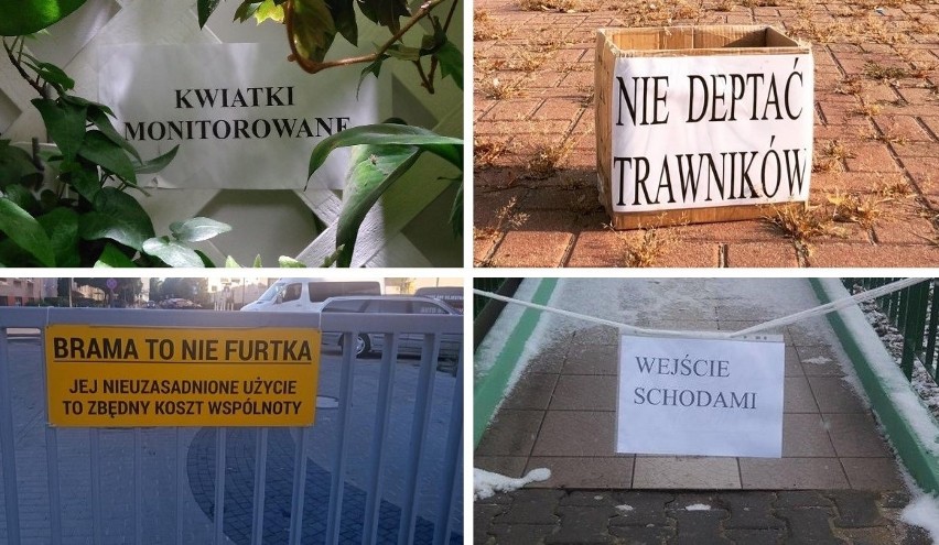 Wyjątkowe obrazki z osiedli mieszkaniowych. Zebraliśmy je w...