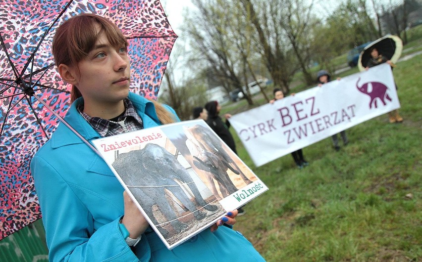 "Cyrk bez zwierząt". Protest obrońców zwierząt w Krakowie [ZDJĘCIA]