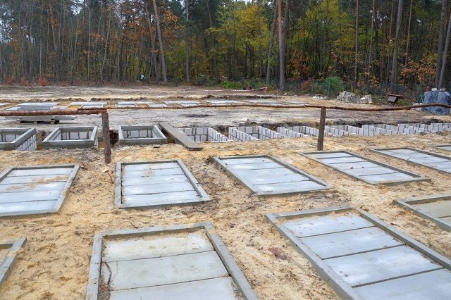 Ściana lasu oznacza granice cmentarza komunalnego, widać ostatnie miejsca przygotowane do pochówków ciał