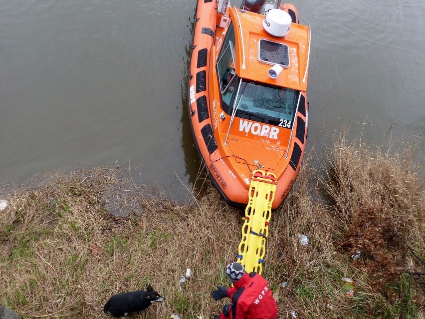 Wrocław: Pies utknął na cyplu przy Odrze. Na ratunek przypłynął WOPR (ZDJĘCIA)