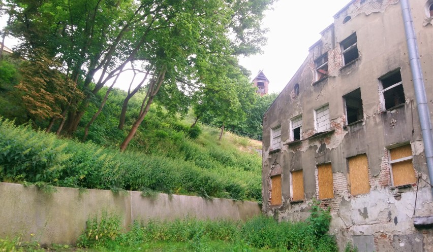 Mieszkańcy Biskupiej Górki chcą odtworzenia schodów. Wcześniej pozwalały skrócić drogę na górny taras dzielnicy