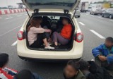 Dziewięcioro nielegalnych imigrantów z Azji w jednym samochodzie. Czworo jechało w bagażniku. Trafili do ośrodka w Przemyślu [ZDJĘCIA] 