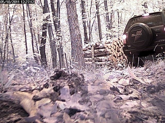 Kamery uruchamiają się, gdy zamontowany w niej czujnik wykryje ruch. Wtedy rozpoczyna się rejestracja obrazu. Taki monitoring ma zapobiec kradzieży drzewa i stroiszu oraz zapobiec wyrzucaniu śmieci do lasu.