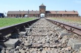 Rok więzienia w zawieszeniu na dwa lata, za wydrapanie imienia w Miejscu Pamięci Auschwitz