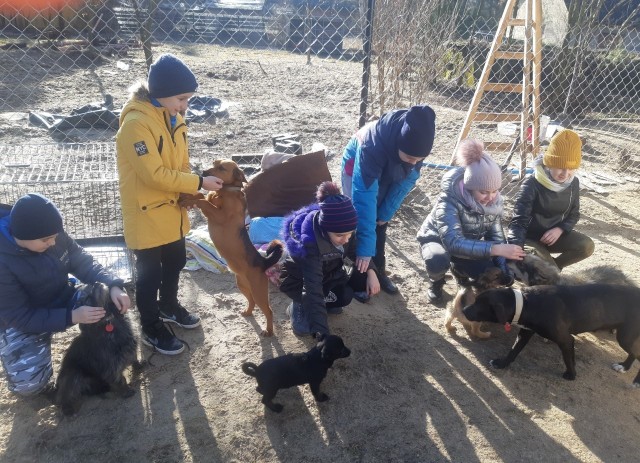 Dzieci ze szkoły podstawowej w Klwowie odwiedziło azyl dla zwierząt w Ligęzowie, gdzie przebywają czworonogi.