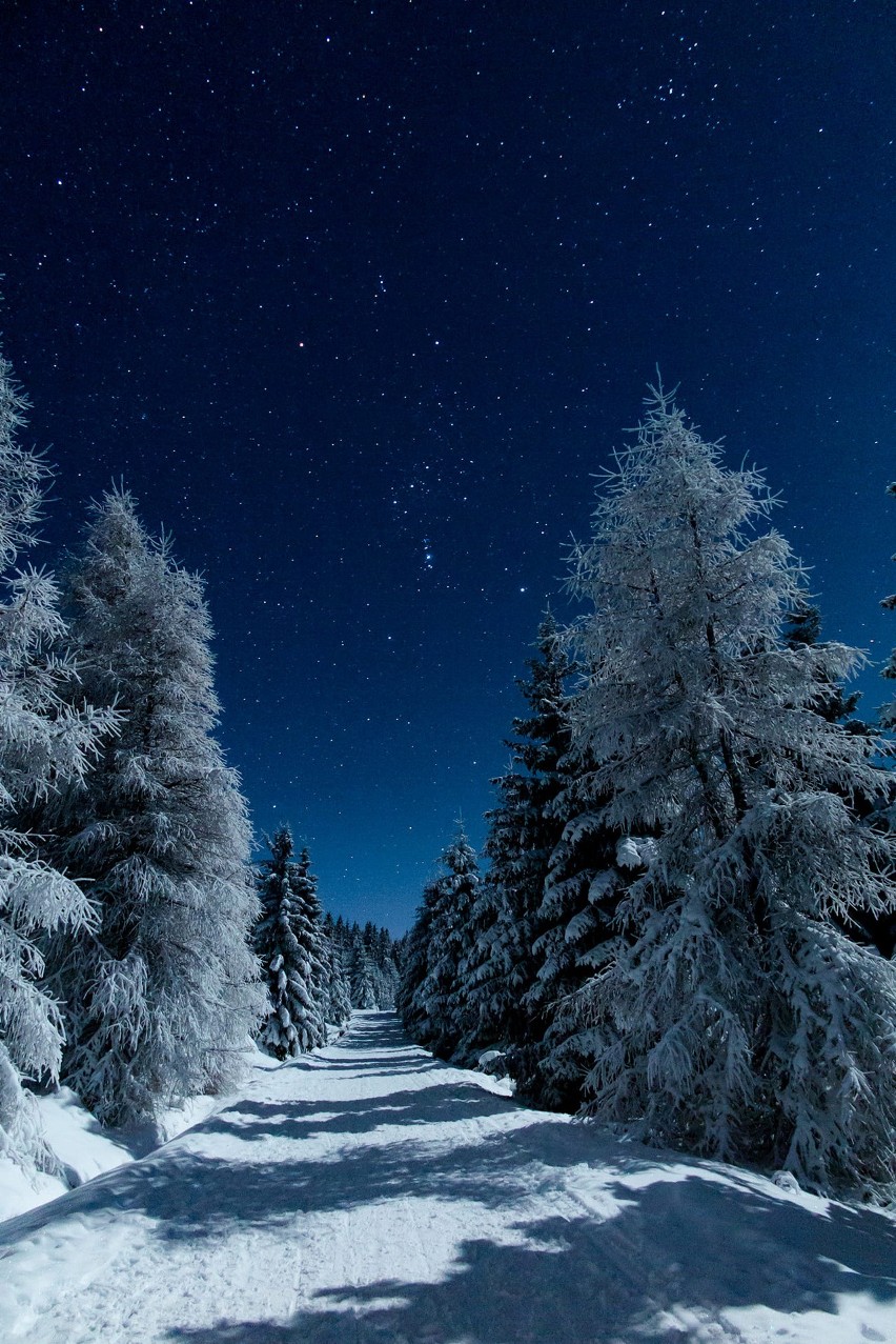Gwiazdy świecące nad szlakiem na Szrenicę sfotografował pan...