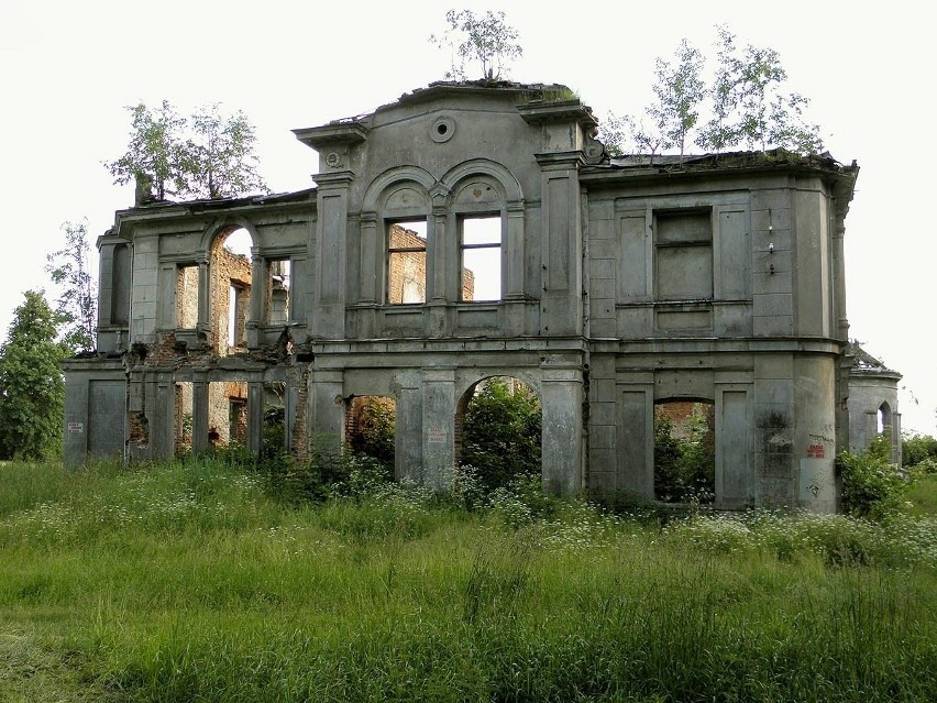 Ruiny pałacu Karskich w 2011 roku.