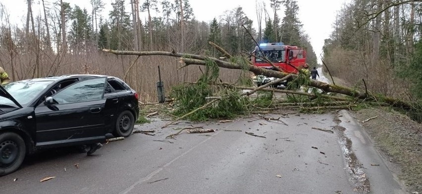 W miejscowości Nowosady drzewo spadło na samochód osobowy....