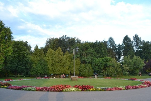 Park Kuronia w Kazimierzu Górniczym