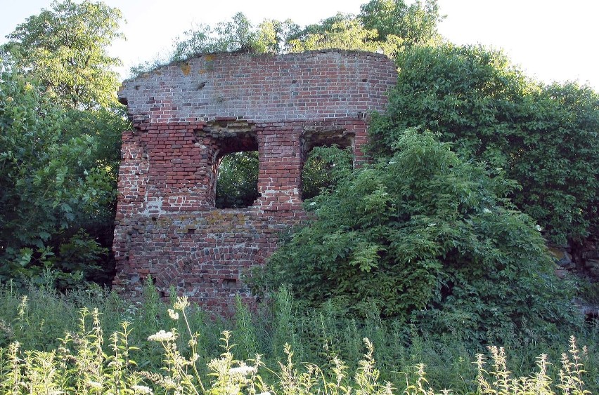 Ruiny zamku w Pokrzywnie