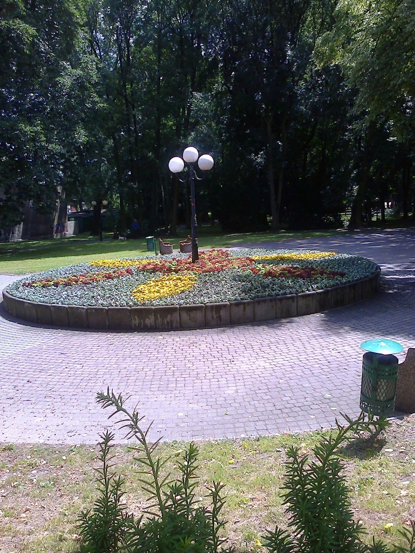 Tysiące kwiatów na ulicach Wodzisławia Śl.