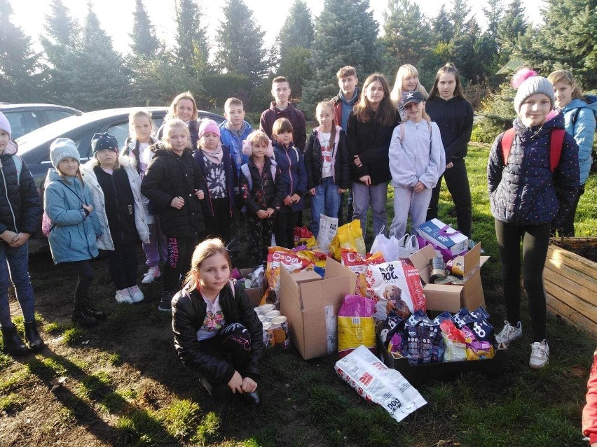 Wyjątkowa akcja uczniów ze Szkoły Podstawowej w Tczowie. Zebrali ponad 300 kilogramów karmy dla zwierząt ze schroniska