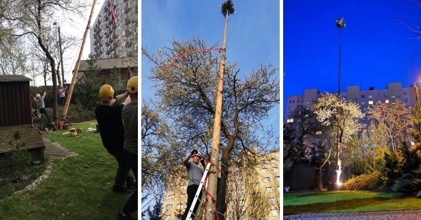 Ten zakochany góral z Orawy postawił moja dla ukochanej w środku blokowiska w Rudzie Śląskiej. Ślązacy byli mocno zdziwieni 