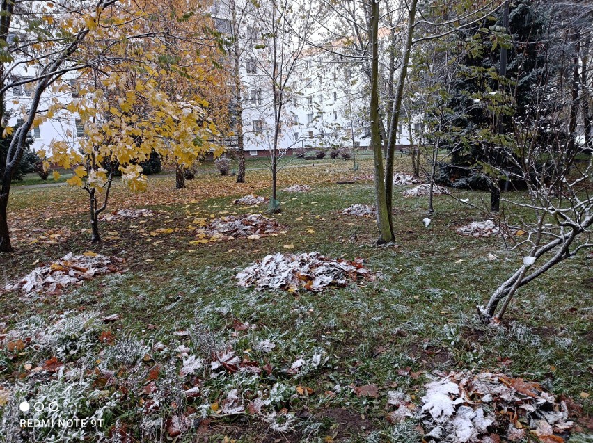 Pogoda w Łodzi. Po wiosenno - jesiennej pogodzie w styczniu wróci zima. Będzie mroźnie, spadnie śnieg 