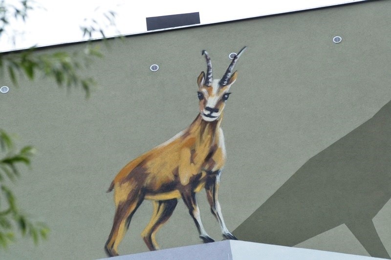 Bielsko-Biała: największy mural w mieście jest gotowy [ZDJĘCIA, WIDEO]