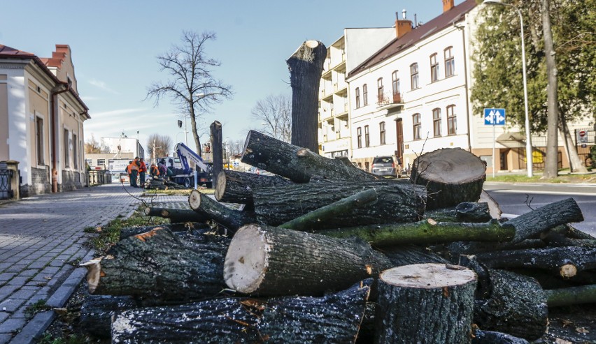 7 lip wycięto na ulicy ks. Jałowego w Rzeszowie, między...