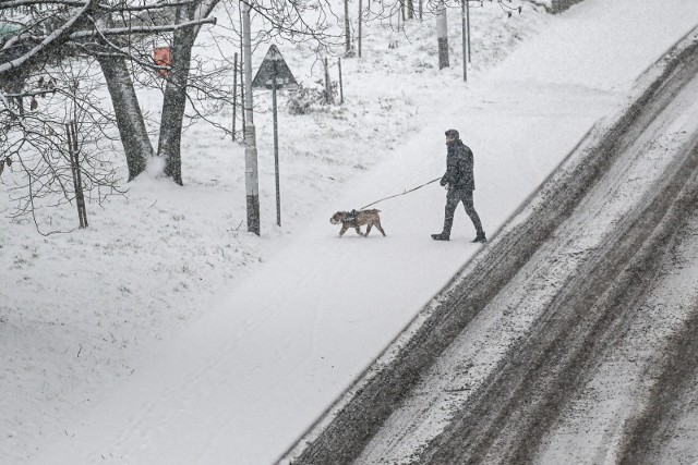 Intensywne opady śniegu w Przemyślu, 28 bm.