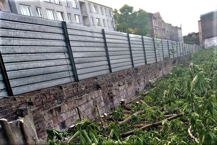 Budowa osiedla Nova Mikołowska w Katowicach. Wycięto drzewa. Zginęły pisklęta w gniazdach. Deweloper wydał oświadczenie