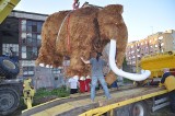 Fruwające mamuty w Szczecinku [zdjęcia, wideo]