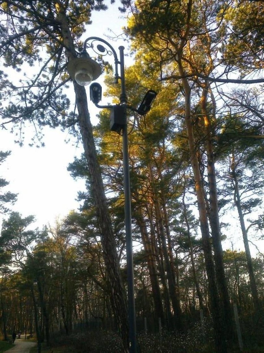 W związku z tragicznymi wydarzeniami, do jakich doszło  w...