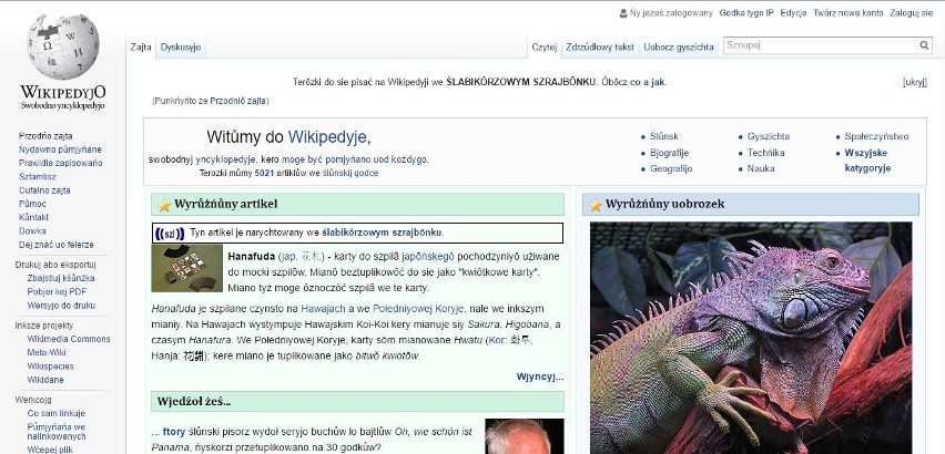 Śląska Wikipedia ma 5 tysięcy artykułów 