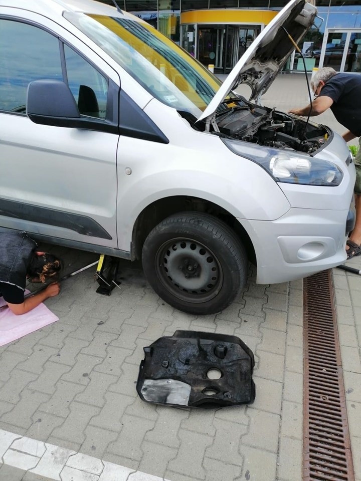 Z pomocą ochrony i lewarka - tak ratowali kota przed krakowską IKEĄ