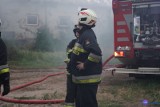 Groźny pożar budynku pod Włocławkiem. 7 zastępów straży pożarnej w akcji [zdjęcia]