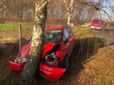 Wypadek w Cichej Górze koło Nowego Tomyśla. Pijany kierowca uderzył w drzewo