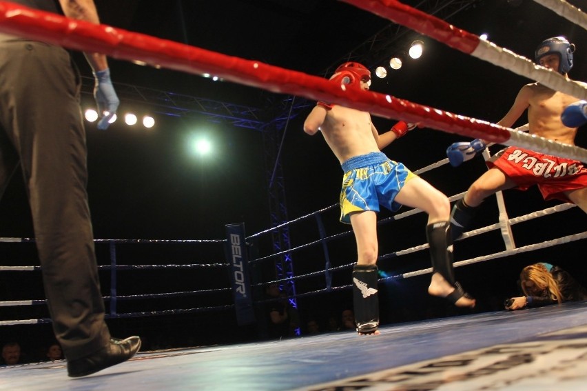 Głogowianie zdominowali Legion Fight Night [Zdjęcia Część 1]