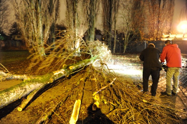 Połamane drzewa w Szczecinie