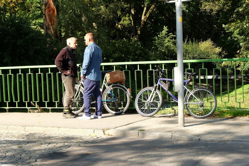 W wyniku wypadku na ul. Branckiego ranna rowerzystka trafiła...