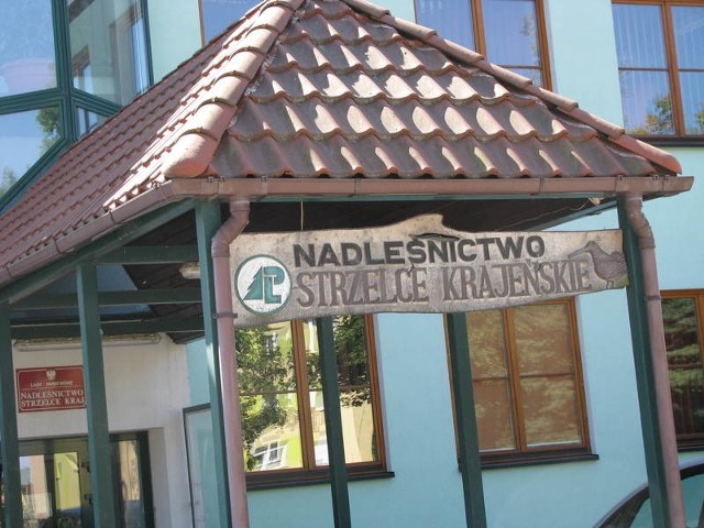 Nadleśnictwo w Strzelcach Kraj.